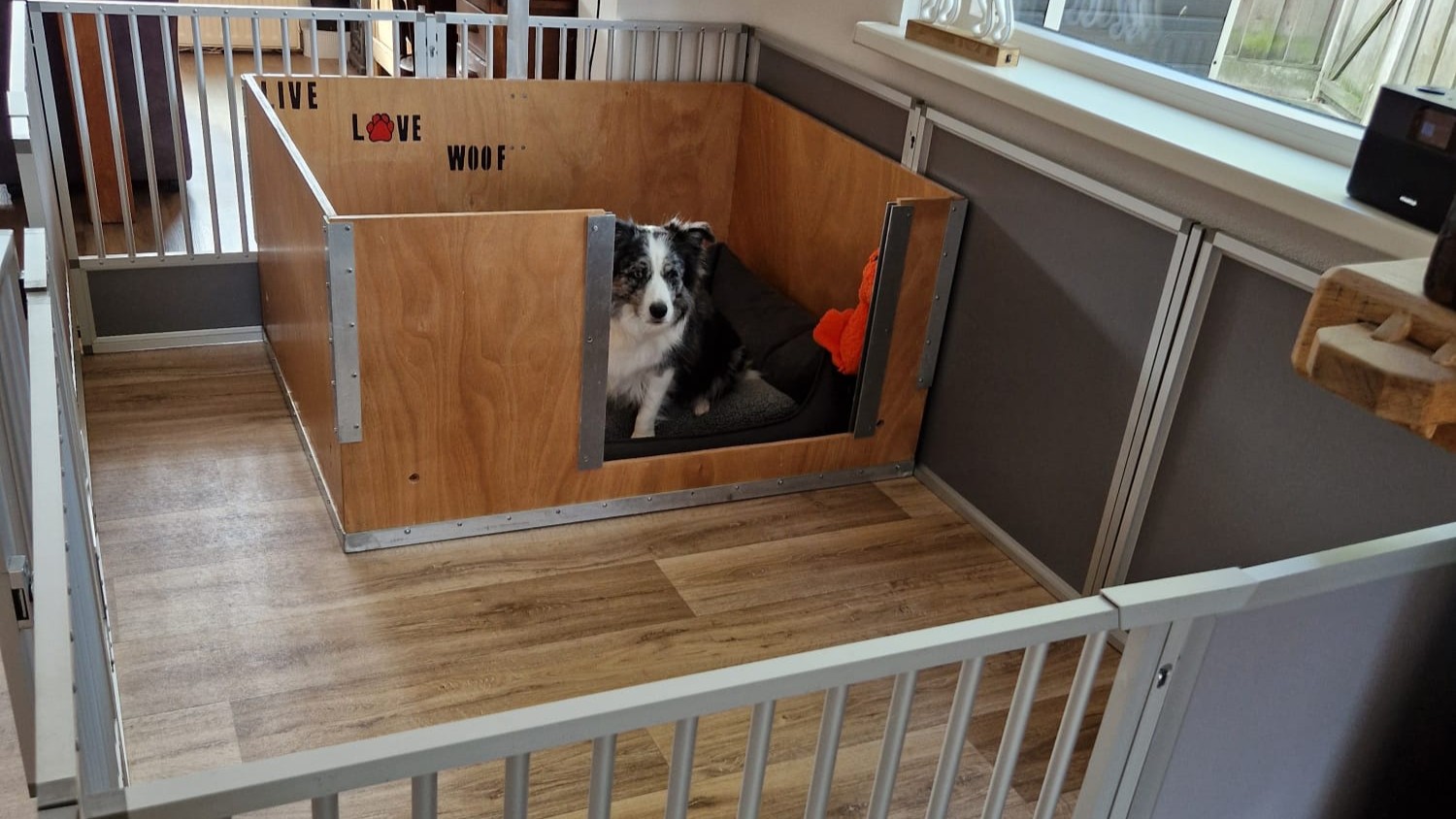 Border Collie klaar voor puppies